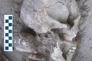 La verdadera historia detrás del hallazgo de los cráneos ovalados que despertó teorías alienígenas