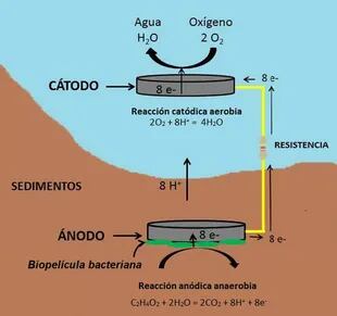 Figura 3. Esquema de una celda de combustible sedimentaria