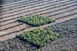Viaje a la zona cero de la deforestación en la Argentina