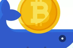 Quiénes son los “inversores camarón” y los “inversores ballena” que intentan salvar al bitcoin de la debacle