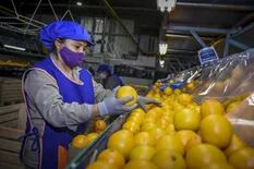 “Dólar limón”: otra industria pide un tipo de cambio diferencial