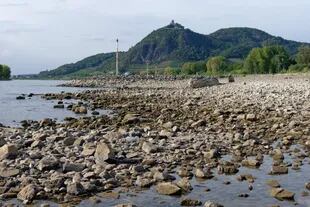 Renania del Norte-Westfalia, Bad Honnef: Grandes guijarros y rocas se encuentran en las orillas del río Rin, donde el río sigue secándose