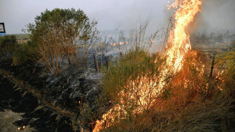 Los incendios forestales en Santa Fe son unos de los más fuertes en la historia de la provincia