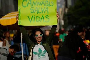 La Corte avaló el cultivo de cannabis para uso medicinal, pero autorizado por el Estado