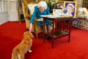 La reina Isabel II de Gran Bretaña acariciando a Candy, su perra Dorgi, mientras mira una exhibición de recuerdos de sus jubileos de oro y platino, en Oak Room en el Castillo de Windsor, al oeste de Londres, el 4 de febrero de 2022