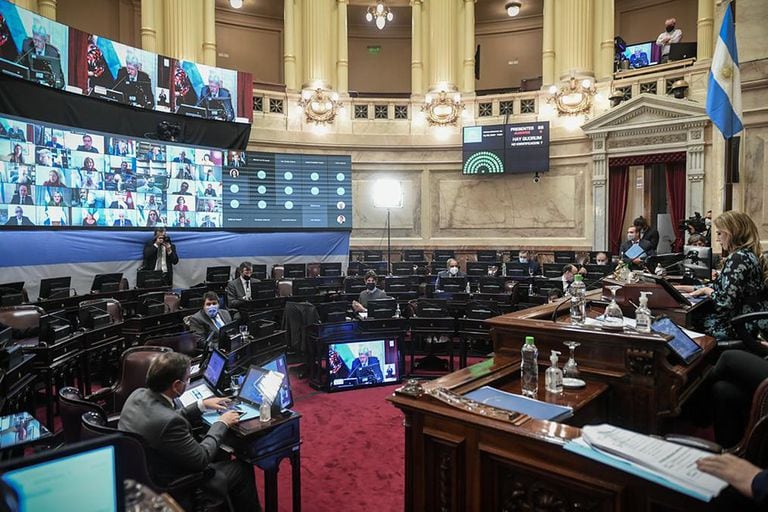 El Senado volvió a sesionar después de un mes, bajo la presidencia de Claudia Ledesma