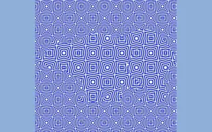 Un nuevo desafío visual, viralizado en las últimas horas, propone encontrar el animal en un fondo azul que genera un extraño efecto óptico