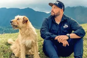 La historia de Arthur, el perro ecuatoriano que inspiró a la película protagonizada por Mark Wahlberg