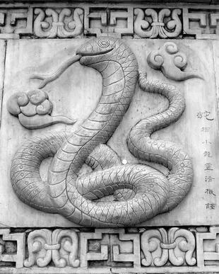 La serpiente china protegerá a las personas de Leo de envidias ajenas