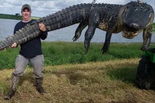 Enfrentó a un temible cocodrilo de cuatro metros en EE.UU. y se convirtió en el héroe de una ciudad