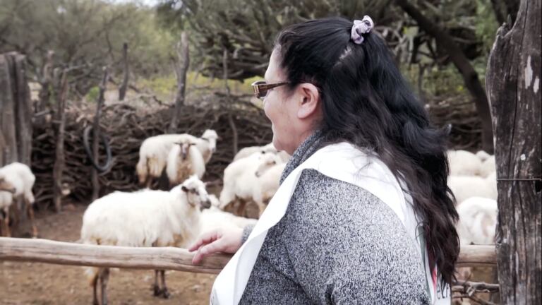 El emprendimiento que busca cambiar la vida de 200 mujeres criadoras de ovejas