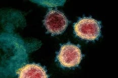 ¿Cómo se contagia realmente el virus? La respuesta tiene un consenso creciente