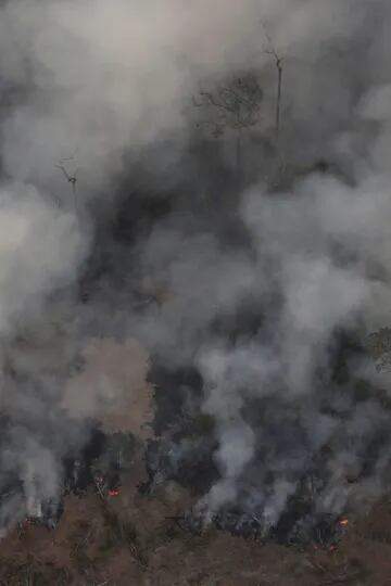 La mayor parte de los incendios forestales (52,6%) actuales han ocurrido en la Amazonia, especialmente en los estados de Mato Grosso, Pará y Amazonas. 