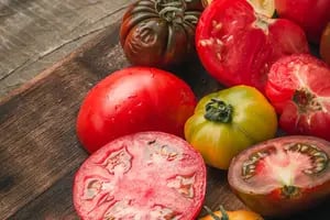 El desafío de recuperar el tomate con gusto a tomate