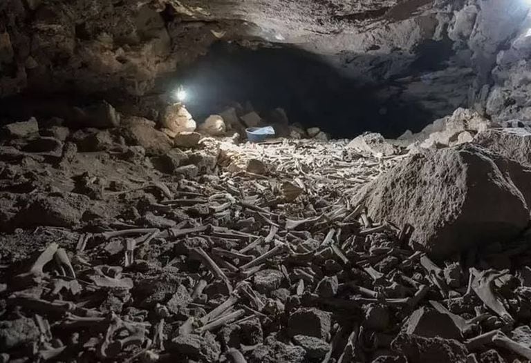 Descubren una cueva de hienas repleta de miles de huesos humanos y animales