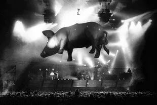 El cerdo volador durante un concierto de Pink Floyd en Holanda, 1989
