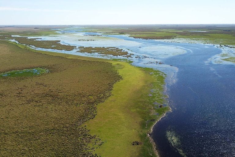 Vista de los Esteros del Iberá, Corrientes