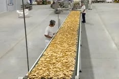 Tras invertir US$5 millones, Molinos Ala inauguró una planta de snacks de arroz