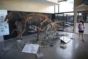 Las estrellas del Museo de Ciencias Naturales son las réplicas de los dinosaurios que habitaron la región