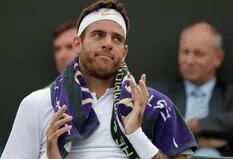 Wimbledon: Del Potro, que ganó dos sets, continúa el partido ante Simon