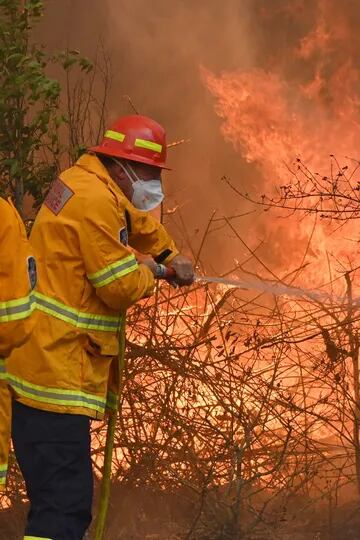 Los bomberos trabajan incansablemente en la zonas afectadas