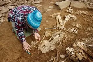 Descubren un raro monumento de 5000 años de antigüedad en Escocia con 14 esqueletos en perfecto estado