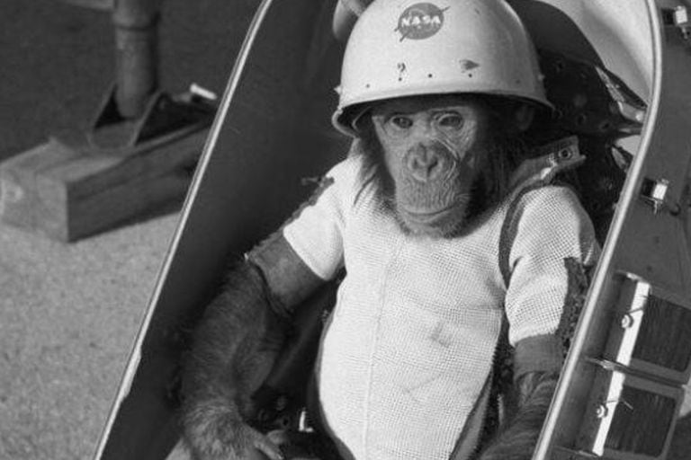 Los monos fueron una especie recurrente en los primeros viajes espaciales