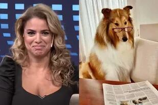 La indignación de Marina Calabró por el posteo de Dylan, el perro de Alberto Fernández