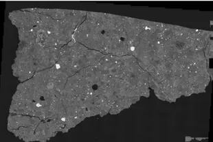 Imagen de una sección delgada pulida de Asuka 12236, hecha con un microscopio electrónico de barrido