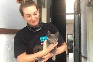 Quería adoptar un gato y en la primera entrevista con un refugio una reacción inesperada la dejó sin palabras.