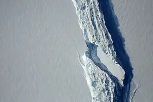 En la Antártida, se desprendió un iceberg dos veces mayor a la Capital Federal