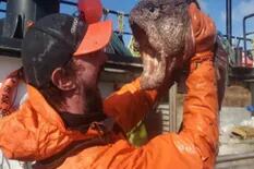 Espeluznante: un pescador capturó un extraño “monstruo marino” en aguas heladas