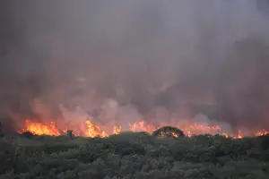 Desalojaron la Reserva Ecológica por un feroz incendio
