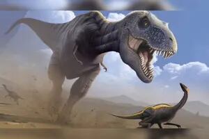 La revelación sobre el Tiranosaurio rex que podría cambiar su clásica imagen