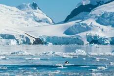 Día de los Océanos: Argentina y Chile, socios en la Península Antártica