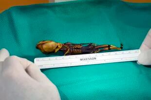El diminuto cuerpo de Ata, la momia encontrada en la región chilena de Atacama