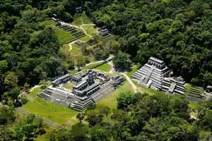 Un estudio reveló por qué podrían haber desaparecido los mayas