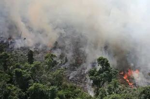 Vista de un incendio que afectó el Amazonas en septiembre de 2013, los incendios son cada vez más frecuentes
