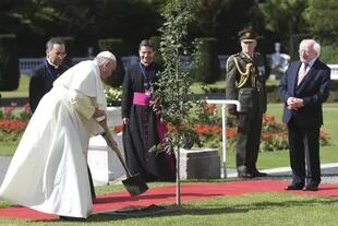 El Papa plantó un árbol durante el encuentro con presidente irlandés