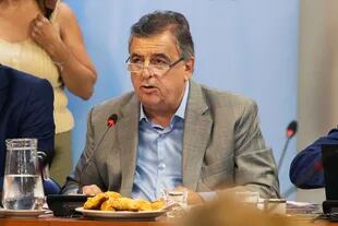 Mario Negri, el jefe del bloque de la UCR, en la comisión de juicio político
