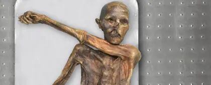 Ötzi es una de las momias más estudiadas en el mundo