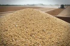 La soja sin vender se valorizó en US$340 millones