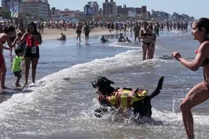 Patrullaba la playa junto a su perro cuando un imprevisto desató la urgencia.