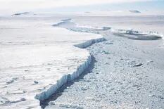 Antártida: Alerta por el creciente desprendimiento de dos inmensos glaciares
