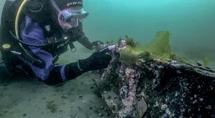 Los restos de Emma se encuentran a unos 800 m de la costa y una profundidad de 16 m con pleamar media.
