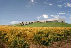La nueva ruta del vino: 5 bodegas para conocer la vendimia neuquina