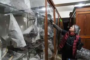 Los secretos de la última taxidermista de aves del museo más antiguo del país: “No se estudia formalmente”