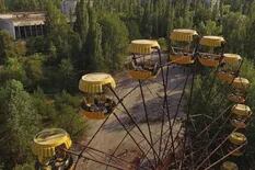 Chernobyl: la sorprendente proliferación de plantas en la zona
