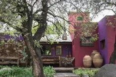 Una encantadora hostería con jardín botánico, bodega y una colección de cactus