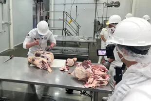 Los formadores serán carniceros/as y personas del oficio de la carne que, tras un proceso de selección, viajarán especialmente a Francia para capacitarse en la École Nationale Supérieure des Métiers de la Viande